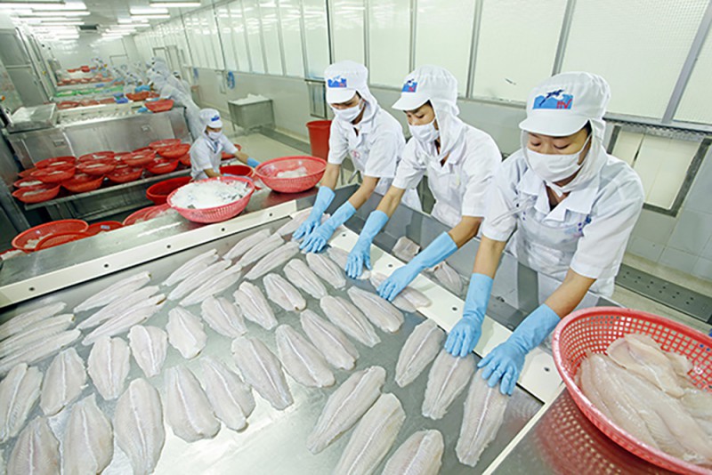 Nhà máy chế biến cá tra của Công ty cổ phần Hùng Vương