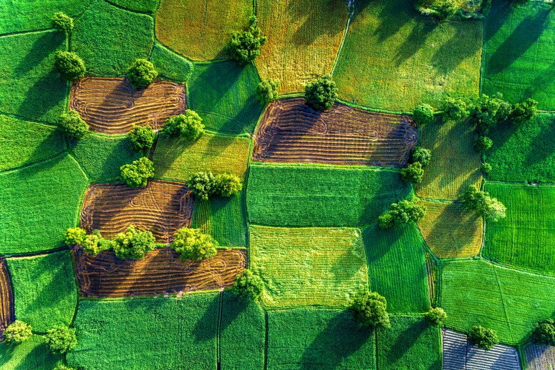 Quỹ khởi nghiệp xanh hỗ trợ cho các dự án khởi nghiệp trong lĩnh vực nông nghiệp công nghệ cao, ưu tiên các dự án tham gia chuỗi giá trị nông nghiệp công nghệ cao (Ảnh: Shutterstock)
