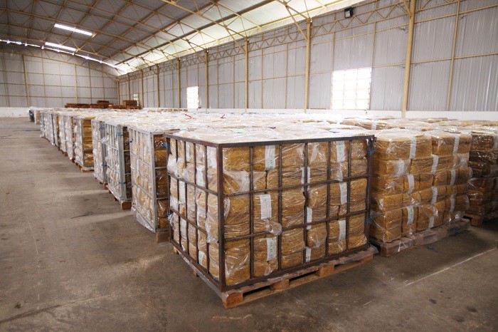 Nhà máy chế biến mủ cao su của HAGL Agrico tại Lào vẫn duy trì hoạt động với hàng chục nghìn héc-ta cao su trồng tại ba nước Đông Dương (Ảnh: HAGL Agrico)