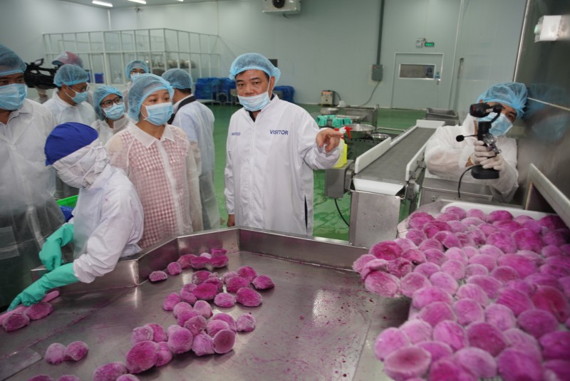 Bộ trưởng Bộ NN&PTNT Nguyễn Xuân Cường tham quan dây chuyền cấp đông thanh long tại nhà máy Lavifood (Ảnh: Bảo Zoãn)