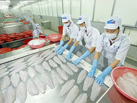 Xuất khẩu cá tra vào Mỹ và Trung Quốc lần đầu giảm sút sau ba năm