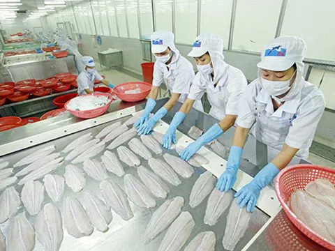 Xuất khẩu cá tra sang Mỹ, Trung Quốc sụt giảm
