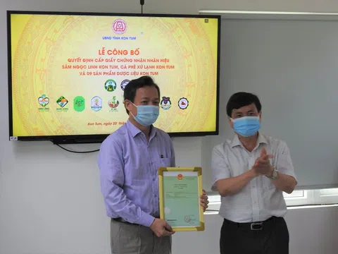 Cấp giấy chứng nhận đăng ký nhãn hiệu sâm Ngọc Linh Kon Tum