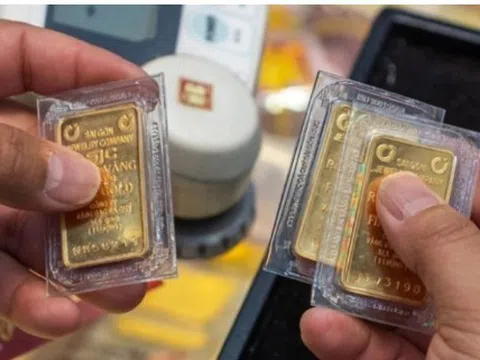 TS Huỳnh Thế Du: 'Việt Nam hiện có khoảng 2.000 tấn vàng'