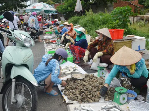 Nên cho tiểu thương ở các khu chợ truyền thống bị đóng cửa bày hàng hóa trên lề đường để buôn bán như chợ hoa ngày Tết