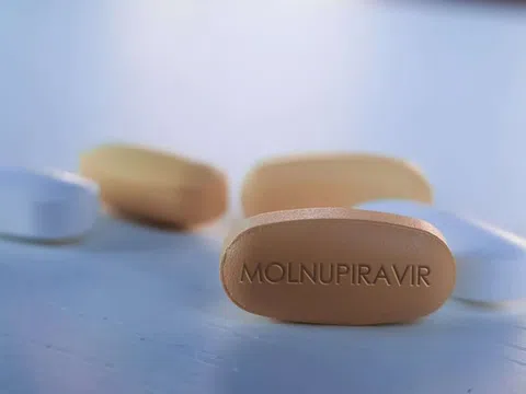 Thí điểm cho F0 dùng thuốc kháng virus Molnupiravir tại nhà