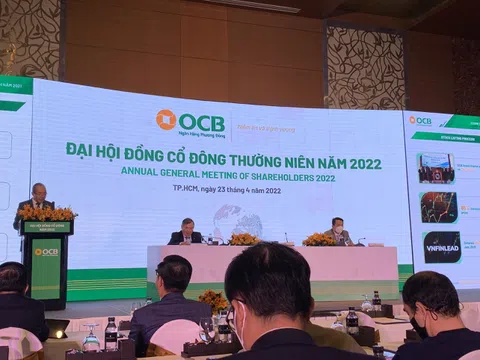 CEO ngân hàng OCB Nguyễn Đình Tùng nói gì về khoản nợ 1.200 tỷ đồng của FLC và các khoản nợ của công ty Đại Nam?