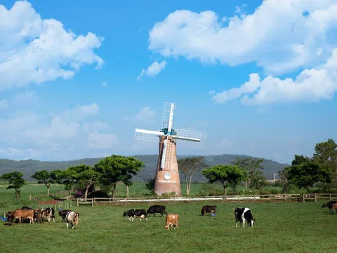 Cụm Trang trại bò sữa Vinamilk Đà Lạt được vinh danh tại giải thưởng môi trường