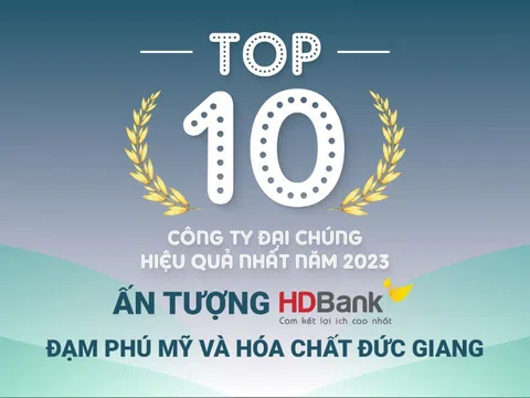 TOP 10 công ty đại chúng hiệu quả nhất năm 2023:   Ấn tượng HDBank, Đạm Phú Mỹ và Hóa chất Đức Giang