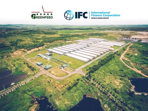 IFC rót 1.000 tỷ đồng vào GreenFeed để mở rộng hoạt động chăn nuôi và sản xuất thịt heo