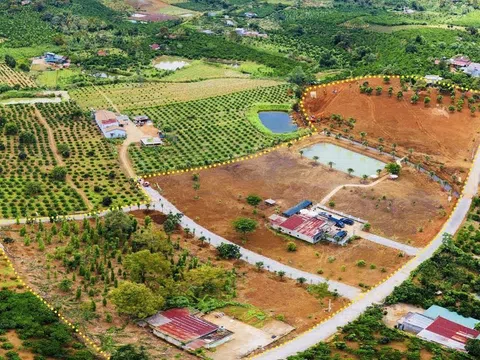 Lâm Đồng: Ban hành quy định mới về việc tách, hợp thửa đất sau cơn sốt đất
