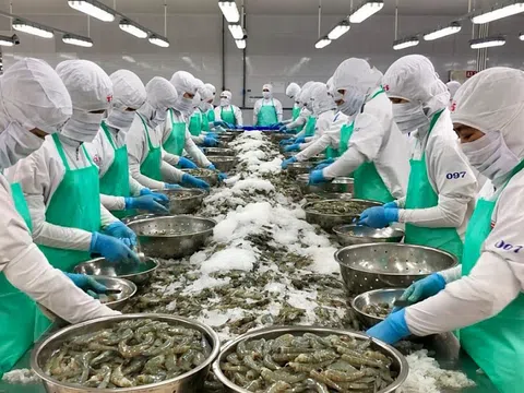 Bất chấp lạm  phát, Mỹ vẫn là thị trường xuất khẩu thủy sản lớn nhất của Việt Nam