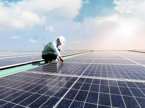 Thế Giới Di Động hợp tác với “ông lớn” năng lượng Coro Energy làm dự án điện mặt trời áp mái