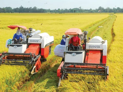 Phát triển bền vững ngành lúa gạo gắn liền bảo vệ môi trường, thích ứng biến đổi khí hậu