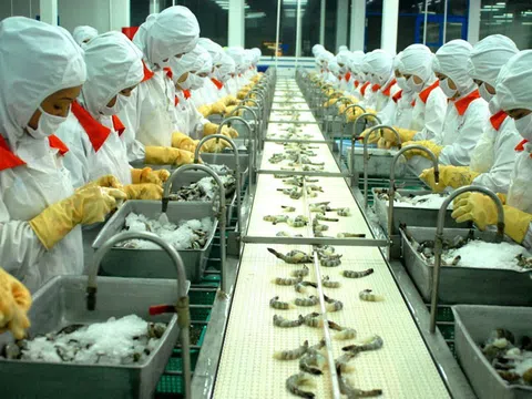 Kiến nghị bãi bỏ hạn ngạch đối với tôm Việt Nam xuất khẩu vào Hàn Quốc