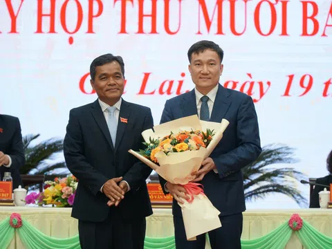 Tiến sĩ ngành Tài chính - Ngân hàng Nguyễn Tuấn Anh được bầu làm Phó Chủ tịch UBND tỉnh Gia Lai