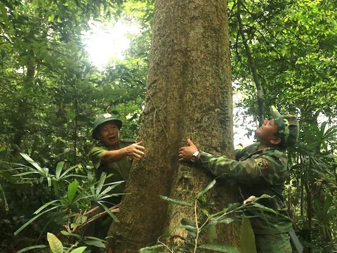 Quảng Bình: Hưởng nguồn chi trả từ tín chỉ carbon - Người dân nâng cao ý thức bảo vệ rừng
