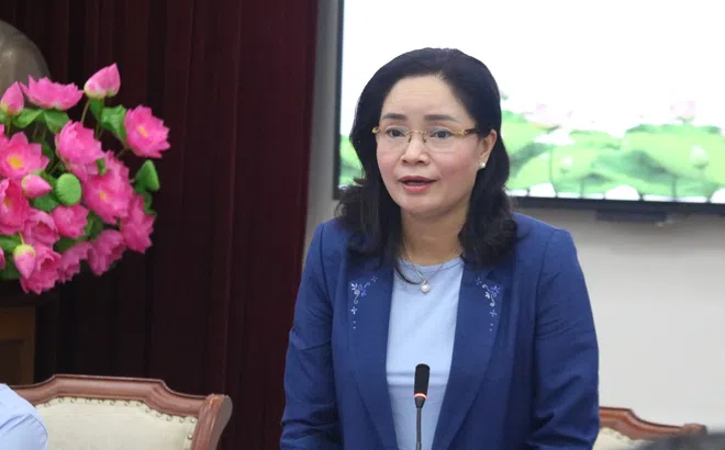 Thứ trưởng Trịnh Thị Thuỷ: Ngày hội Văn hóa là dịp để quảng bá bản sắc văn hóa các dân tộc có số dân dưới 10.000 dân