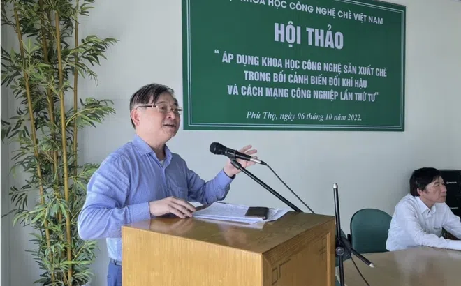 Tìm giải pháp cho phát triển ngành sản xuất chè tại Việt Nam