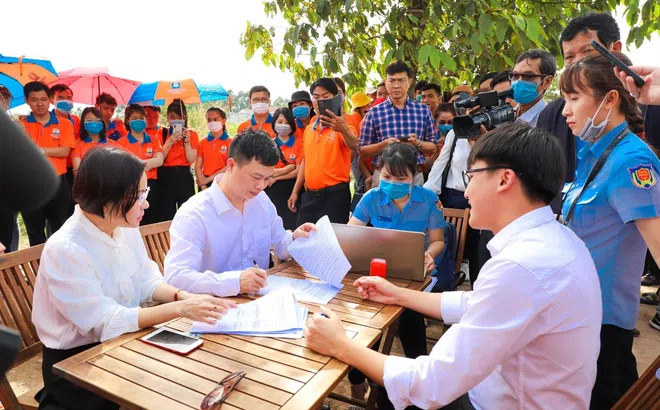 Kim Oanh Group chính thức nhận bàn giao đất trên thực địa dự án Khu dân cư Hòa Lân