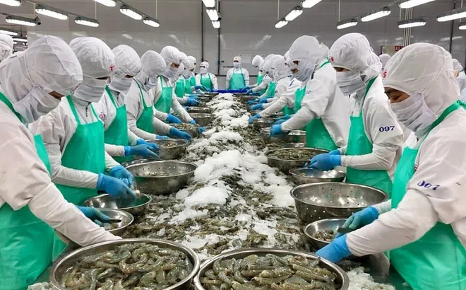 Bất chấp lạm  phát, Mỹ vẫn là thị trường xuất khẩu thủy sản lớn nhất của Việt Nam